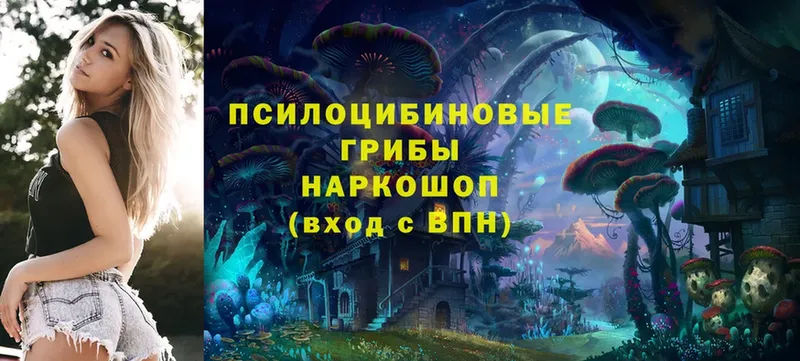 Псилоцибиновые грибы Cubensis  Мосальск 